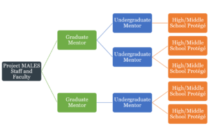 mentor model diagram